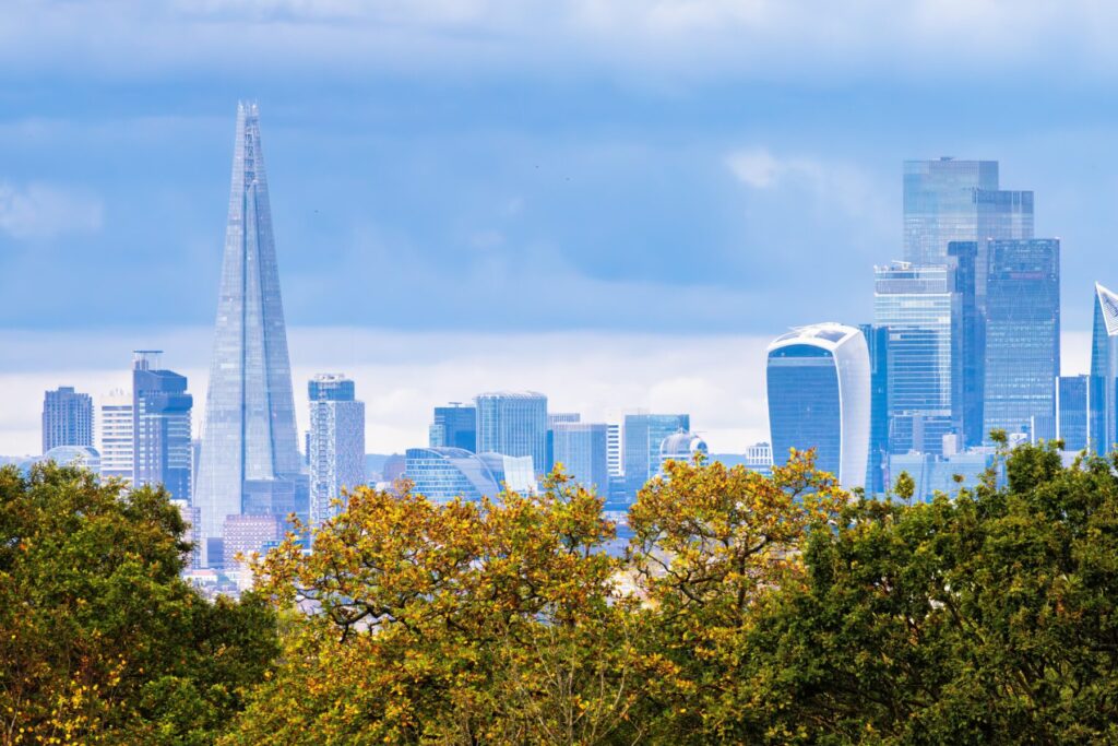 London City Skyline with Trees TCC