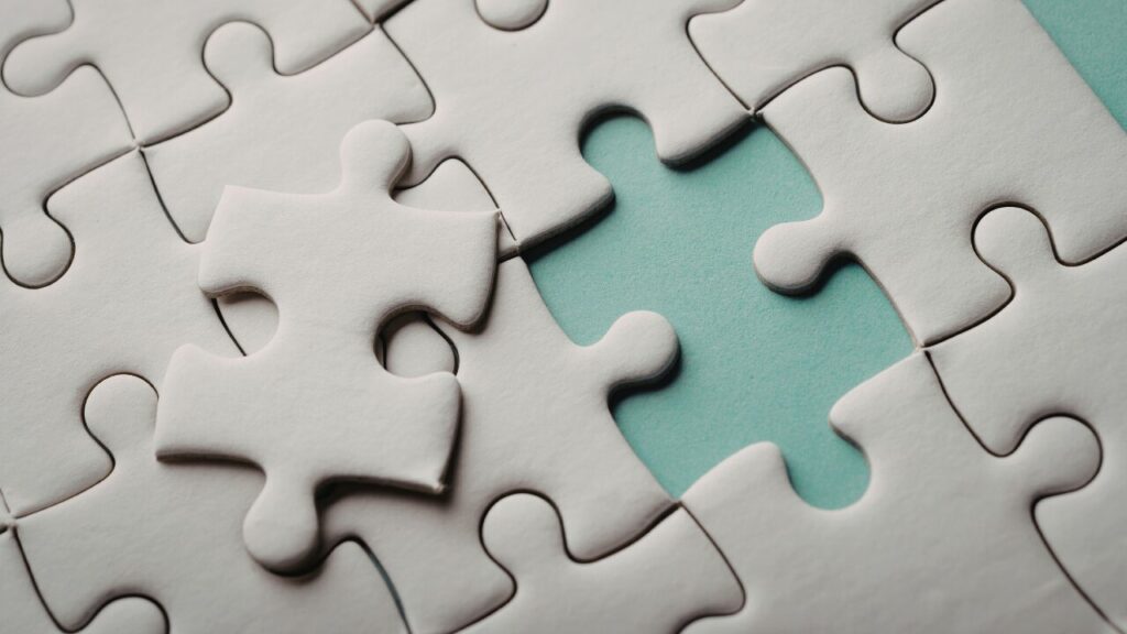 Puzzle piece Momenta