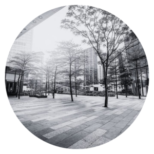 Case study icon
